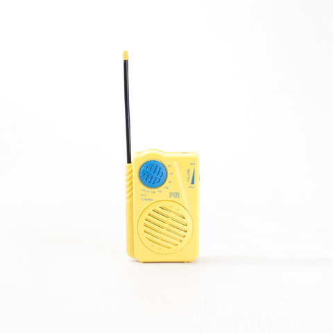 Portable radio
