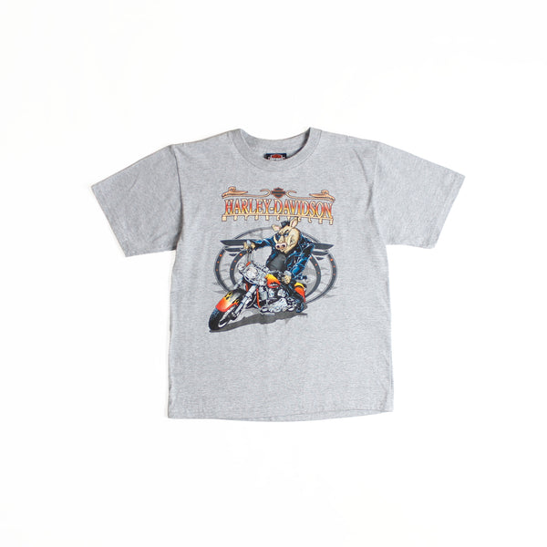 Harley-Davidson T-shirt Small 2007