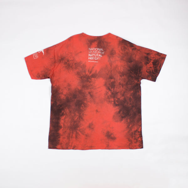 Tee-shirt Dinosaures XL