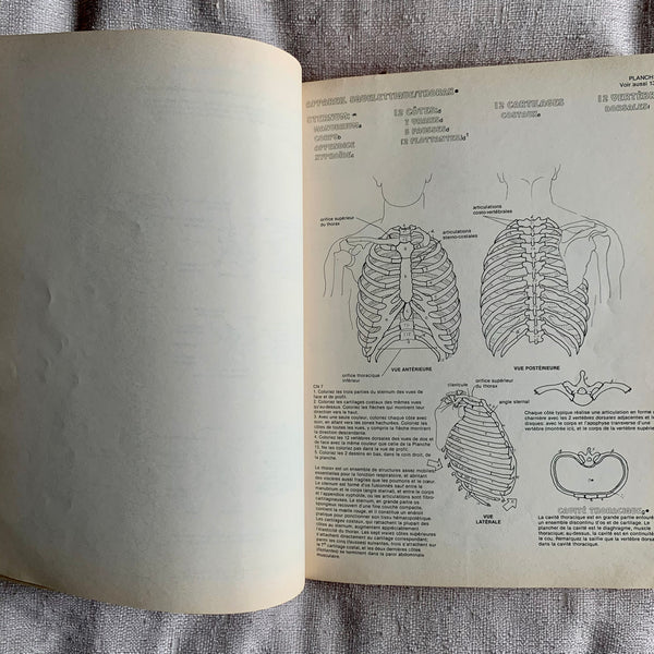 Book - Anatomy for coloring