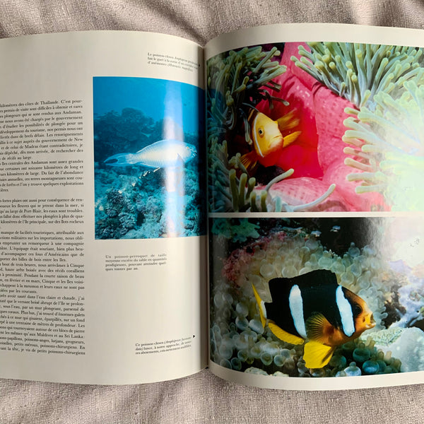 Book - Reefs and Corals