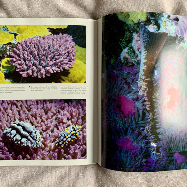 Book - Reefs and Corals
